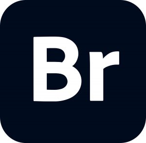 Adobe Bridge 2022丨简而易网